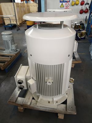 OEM 저전압 농형전동기 380v IE4 비동기식 모터