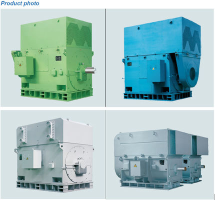 4000 kw 고전압 교류 전동기 IP55 / IP54 비동기식 모터 3 단계 도입