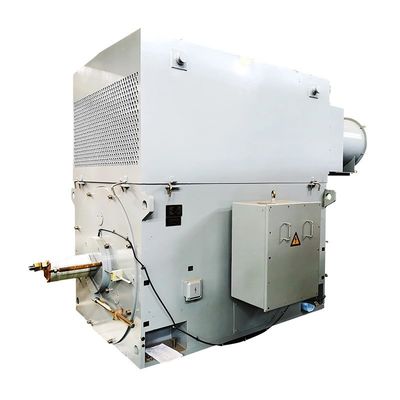 4000 kw 고전압 교류 전동기 IP55 / IP54 비동기식 모터 3 단계 도입