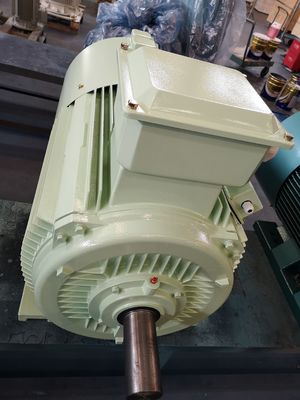 18.5 kw 무쇠 전동기 비동시적 3상 농형 교류 전동기