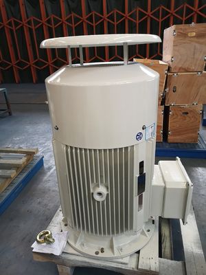 18.5 kw 무쇠 전동기 비동시적 3상 농형 교류 전동기